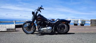 Harley Davidson FLSTSB Cross Bones 08"