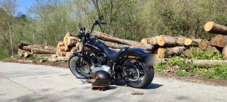 Harley Davidson FLSTSB Cross Bones 08"