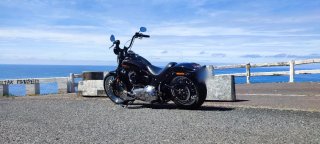 Harley Davidson FLSTSB Cross Bones 08"