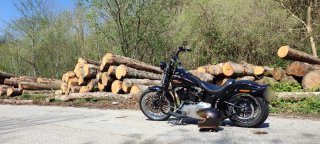 Harley Davidson FLSTSB Cross Bones 08"
