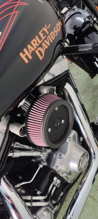 Harley Davidson FLSTSB Cross Bones 08"