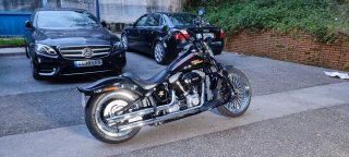 Harley Davidson FLSTSB Cross Bones 08"