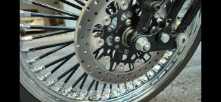 Harley Davidson FLSTSB Cross Bones 08"