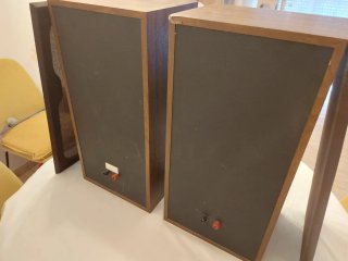 Altavoces KEF Carina II Marrones y Negros