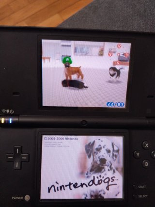 Nintendogs Dalmatian & Friends DS