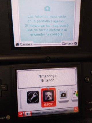 Nintendogs Dalmatian & Friends DS