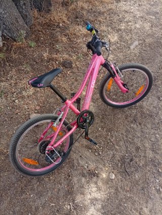 Bicicleta niña rosa Liv.Giant