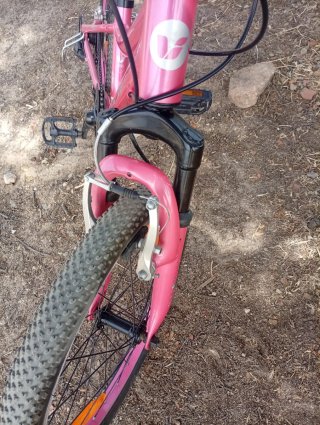 Bicicleta niña rosa Liv.Giant