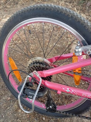 Bicicleta niña rosa Liv.Giant