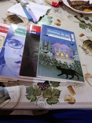 Libros en valenciano