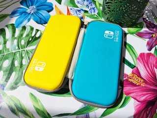 Custodia Nintendo Switch Lite