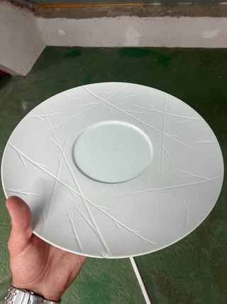 5 Platos Vista Alegre Natura Llanos Porcelana