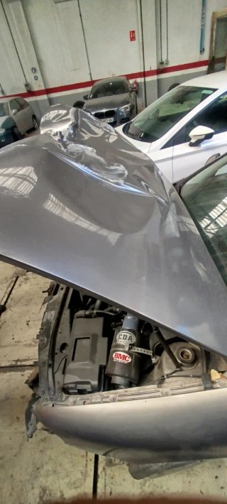 Despiece Seat León FR MK1