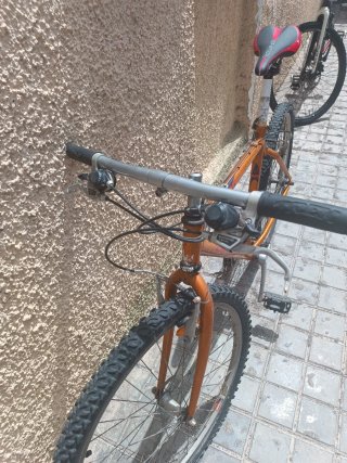 Bicicleta de Montaña Trek Naranja