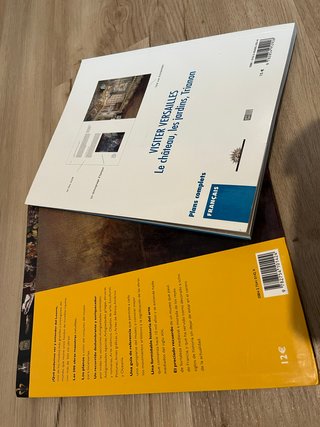 Libro Ilustrado Louvre y Versailles
