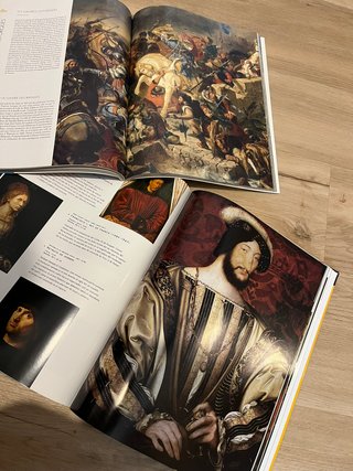 Libro Ilustrado Louvre y Versailles