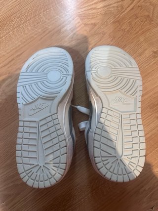 Zapatillas Nike Dunk Low Plata y Blanco