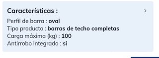 Cofre portaequipajes coche gris 421l y barras