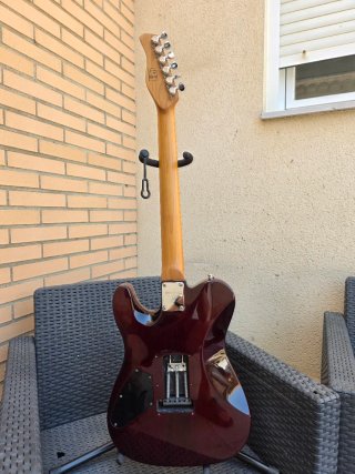 SIRE LARRY CARLTON T7 NATURAL + Estuche foam.