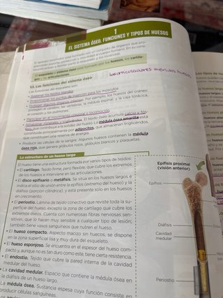 Libro 1 bachiller anatomia aplicada ANAYA