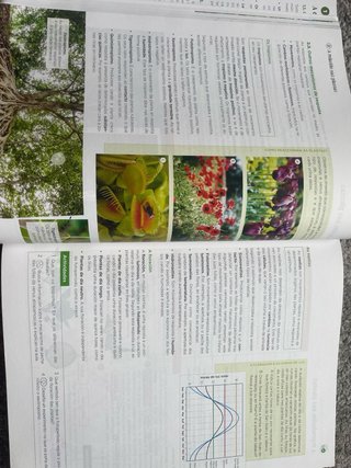 Bioloxía, Xeoloxía e Ciencias Ambientais 1.