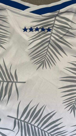 Camiseta Brasil Nike Edición Especial