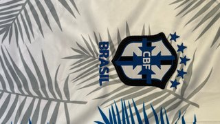 Camiseta Brasil Nike Edición Especial