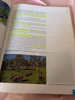 Geografía, 2 Bachillerato