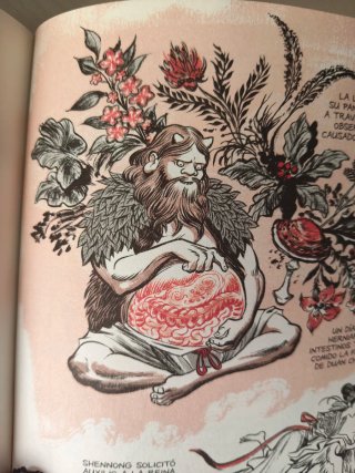 Raíces de ginseng de Graig Thomson