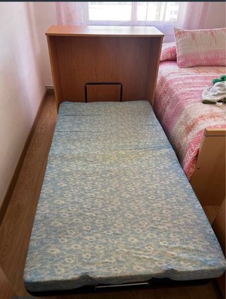 Cama Plegable con Mueble y Colchón