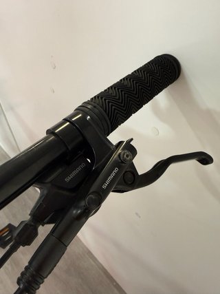 Bicicleta WST Poison Ruedas 29 Talla L
