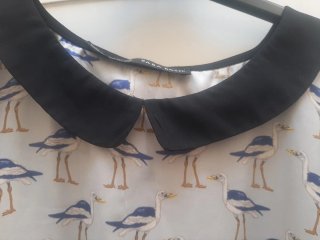 Blusa Zara Basic con estampado de aves