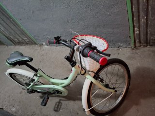 Bicicleta infantil Mint
