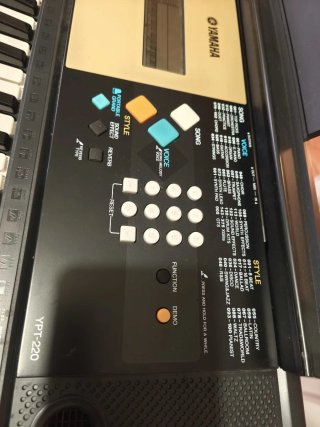 Teclado Yamaha YPT-220