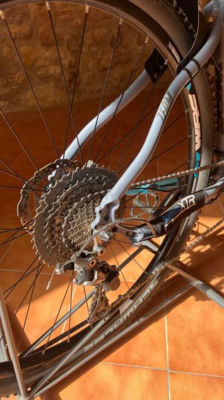 Bicicleta WRC Team 29”