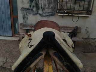 Montura Vaquera Completa