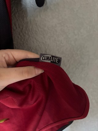 Camiseta Adidas Bayern Múnich
