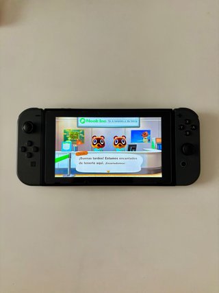 Animal Crossing New Horizons Switch