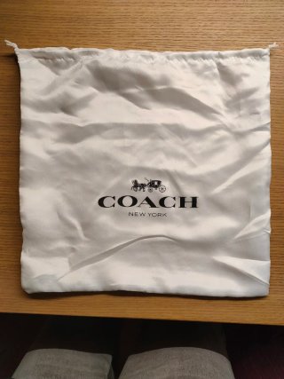 Coach Borsa Marrone Oro