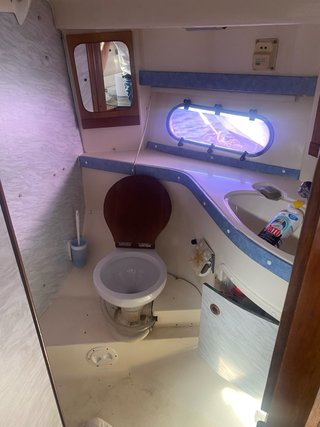 Barco Sealine 10.5m