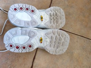Zapatillas Nike Air Max Plus TN Blancas