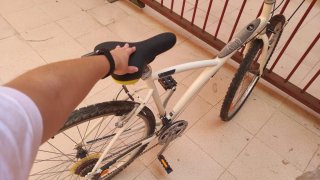Bicicleta Twin