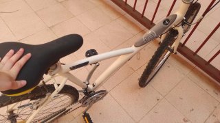 Bicicleta Twin