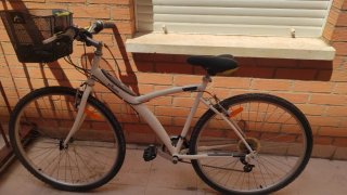 Bicicleta Twin