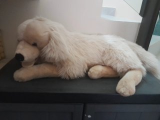 Peluche Perro Grande Realista