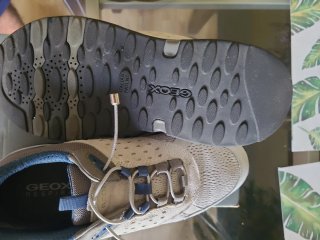 Zapatillas Geox Hombre Talla 40