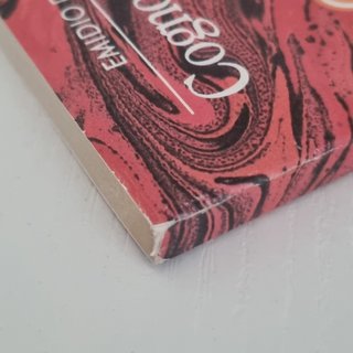 Cognomi e nomi d'Italia Emidio De Felice Epoca '87