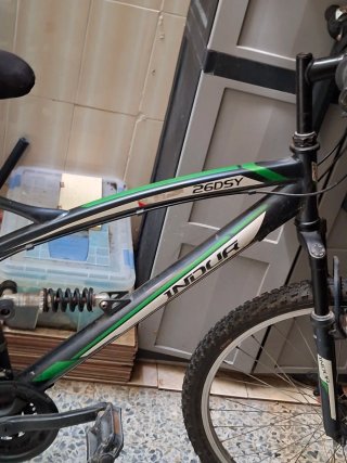 Bicicleta INDUR 26DSY