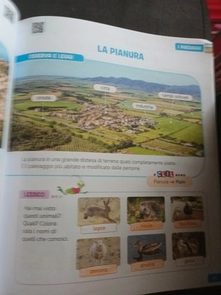 Verde prato, storia geografia science e tecnologia