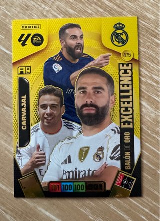 Cromos Panini Adrenalyn XL 25-26